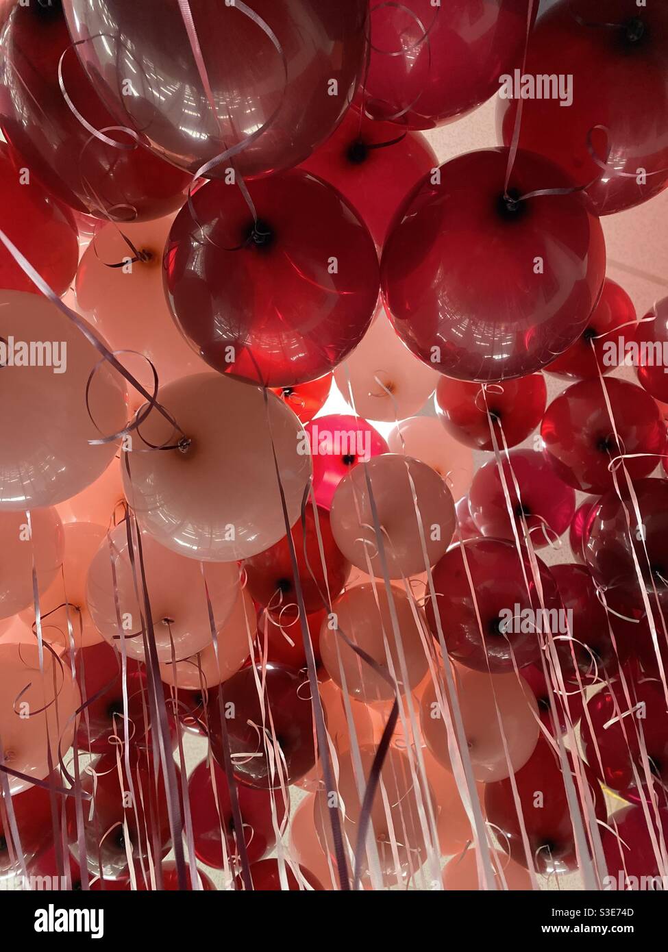 100 palloncini rosa e bordeaux Foto stock - Alamy