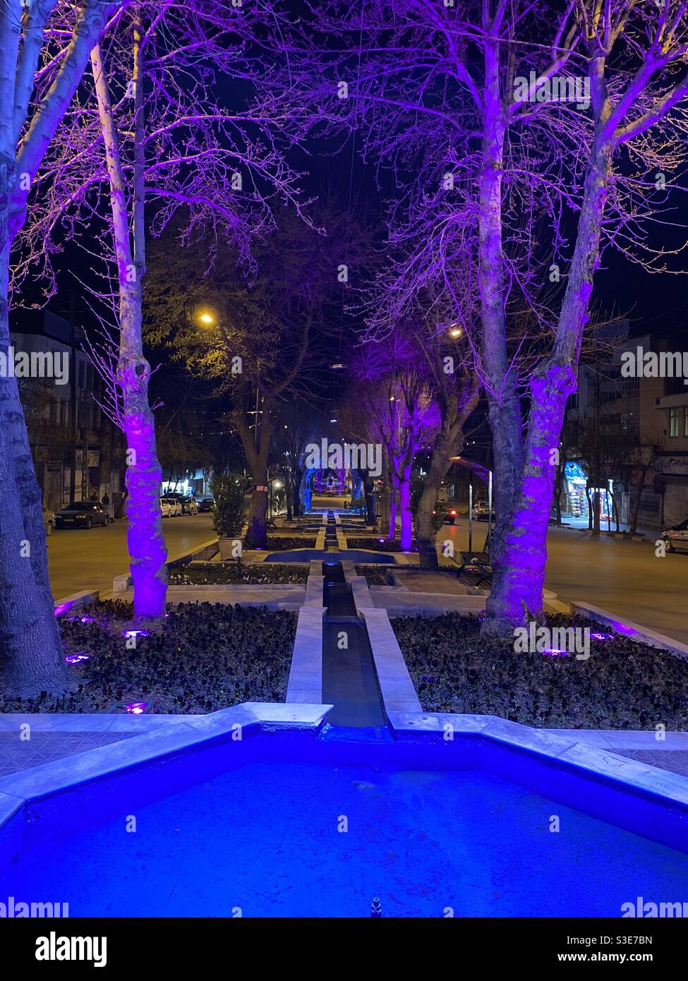 Alberi e piscina di colore viola di notte Foto Stock