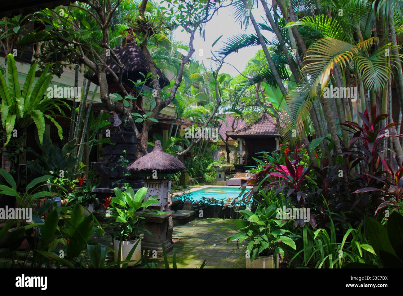 Bella casa soggiorno a Bali. Foto Stock