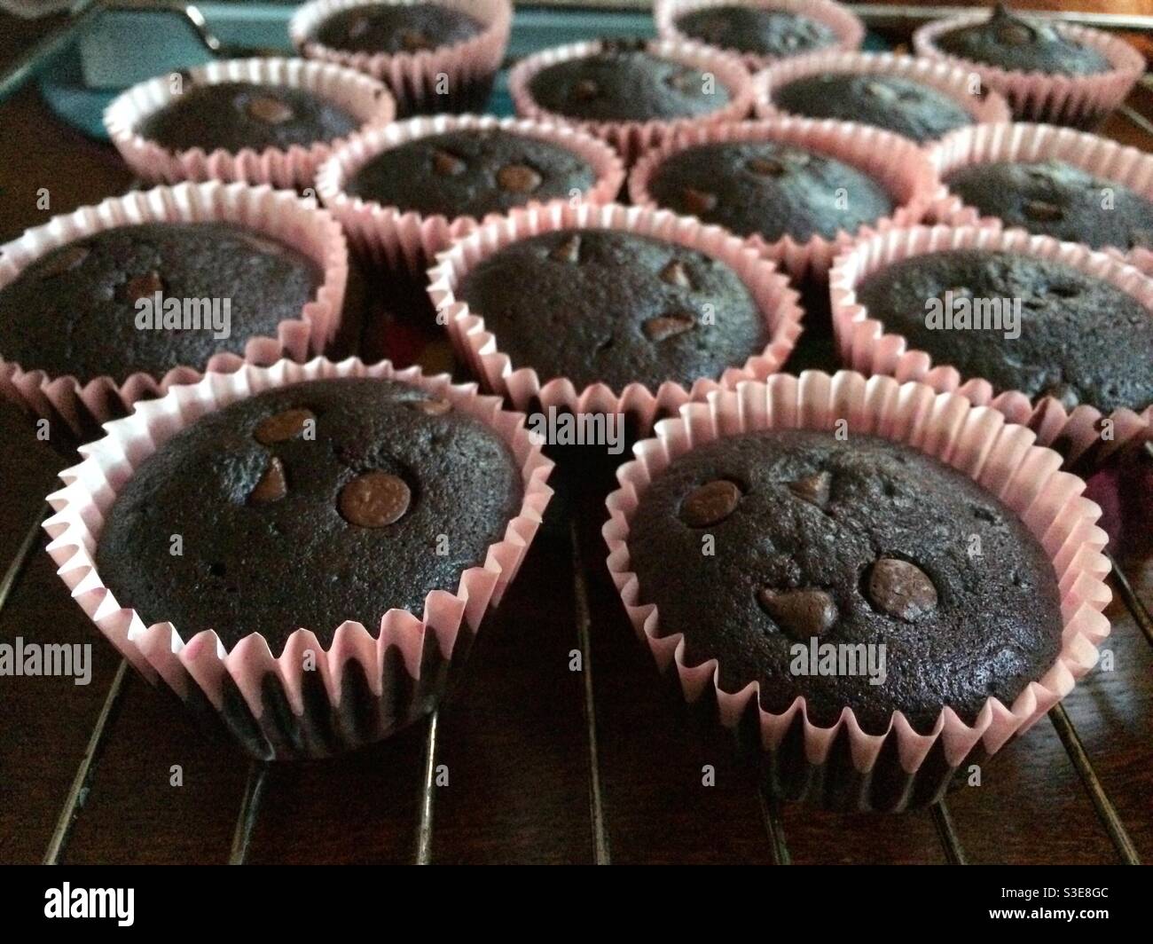 Cupcake al cioccolato appena sfornati e messi a raffreddare Foto Stock