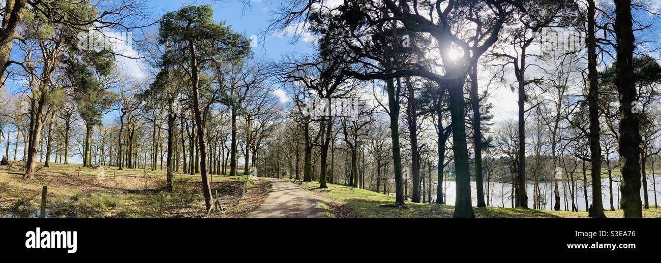 Sentiero del bosco panoramico con lago e sole che passa attraverso il alberi Foto Stock