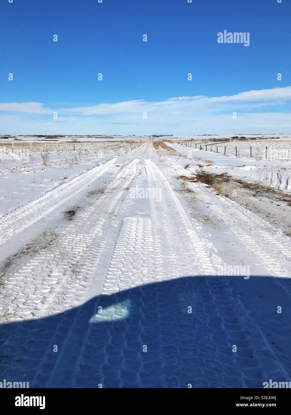 Ombra del veicolo che fa un'inversione a U dopo aver raggiunto la neve profonda su una strada sterrata prateria. Vicino a Calgary, Alberta, Canada. Foto Stock