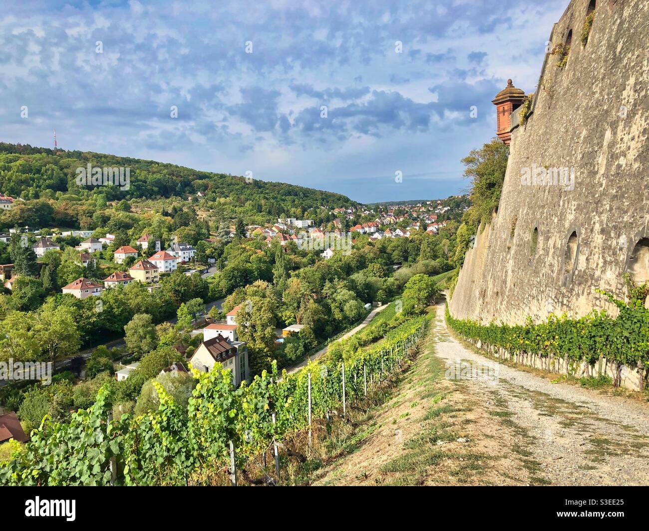 Percorso vicino al vigneto e antiche mura sulla collina di Marienberg a Würzburg, Germania. Foto Stock