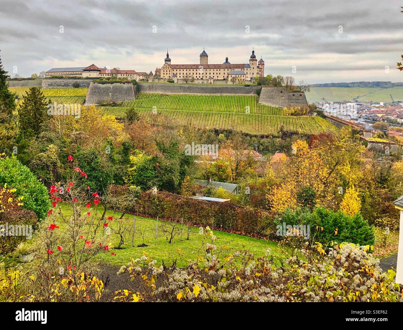 Vista autunnale alla fortezza medievale di Marienberg circondata da cantine a Würzburg, Germania. - Immagine stock catturata con smartphone