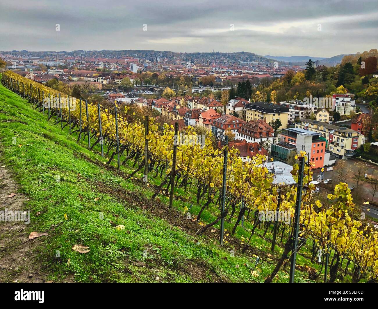 Vista della città d'autunno a Würzburg con vigneti in primo piano, la Germania. - Immagine stock catturata con smartphone
