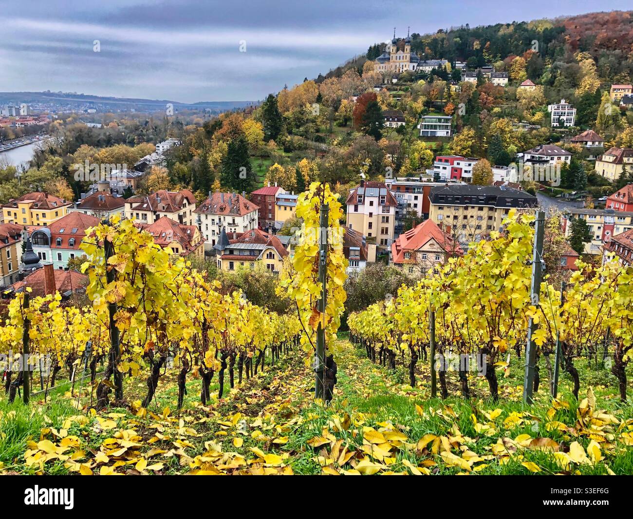 Vista della città d'autunno nel quartiere Zellerau di Würzburg con la chiesa di Käppele sullo sfondo e le aziende vinicole in primo piano, la Germania. - Immagine stock catturata con smartphone