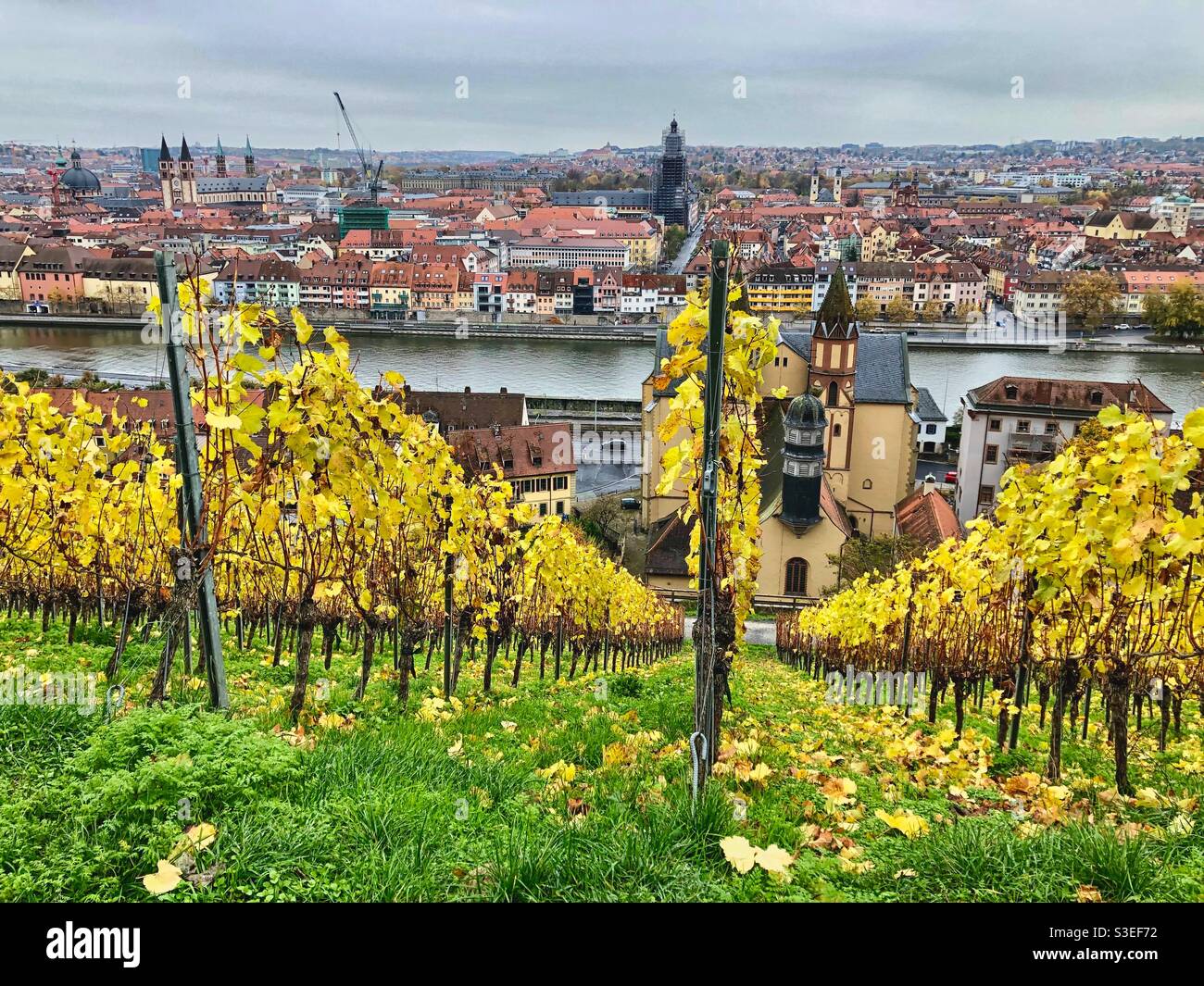 Würzburg vista autunnale della città nel centro storico e sul fiume meno con vigneti in primo piano, la Germania. - Immagine stock catturata con smartphone
