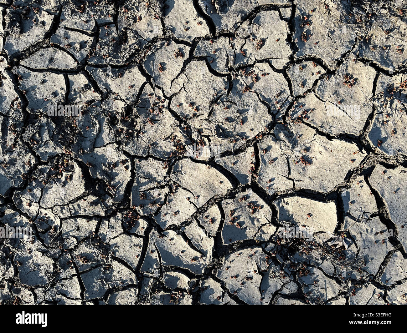 Incrinature di essiccazione nel fango su una pianura alluvionale. Foto Stock