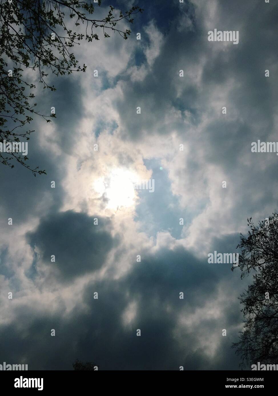 Cielo nuvoloso di Moody con rami di albero incorniciante - Immagine stock catturata con smartphone