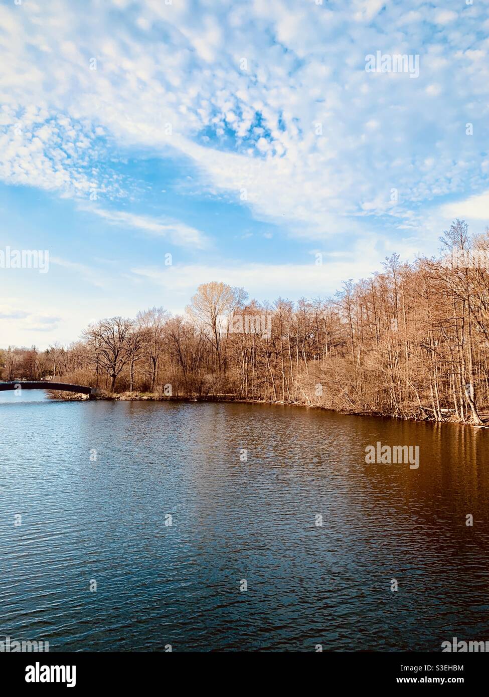 Lago calmo con linea di alberi e cielo azzurro soleggiato con nuvole bianche soffici. - Immagine stock catturata con smartphone