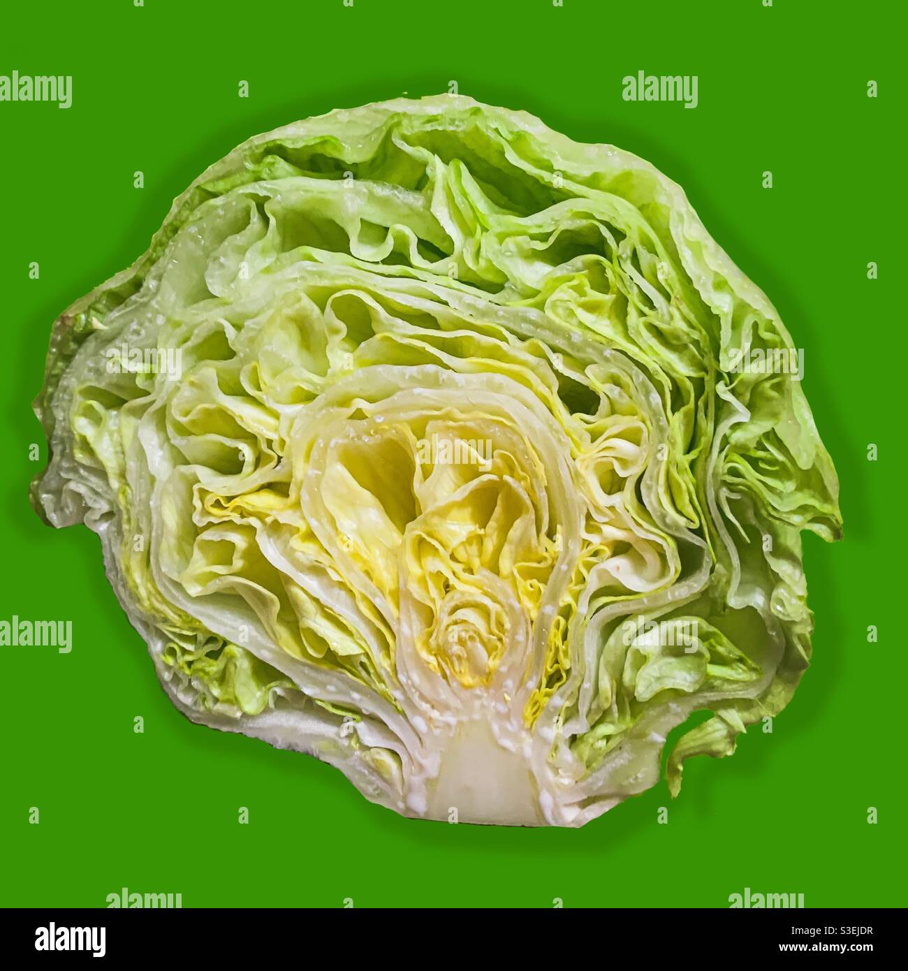 Insalata di iceberg a fette su sfondo verde vivace. Insalata biologica. Prodotti freschi croccanti Foto Stock