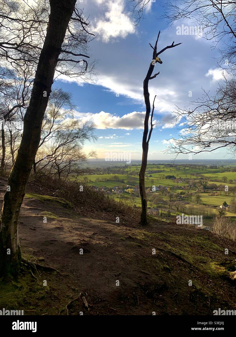 Vista sulla campagna, Cheshire, Regno Unito Foto Stock