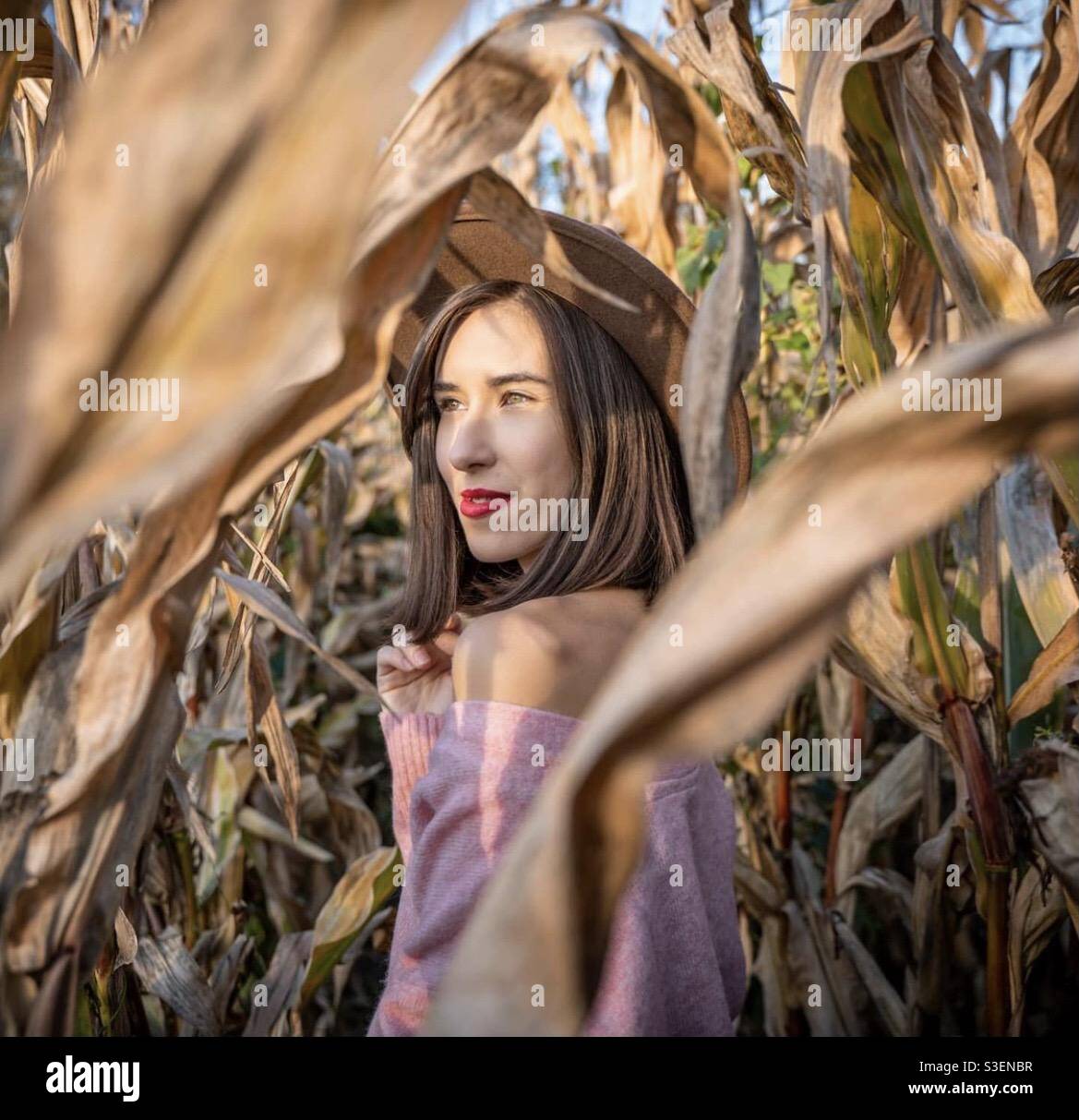 Perso in Cornfield Foto Stock