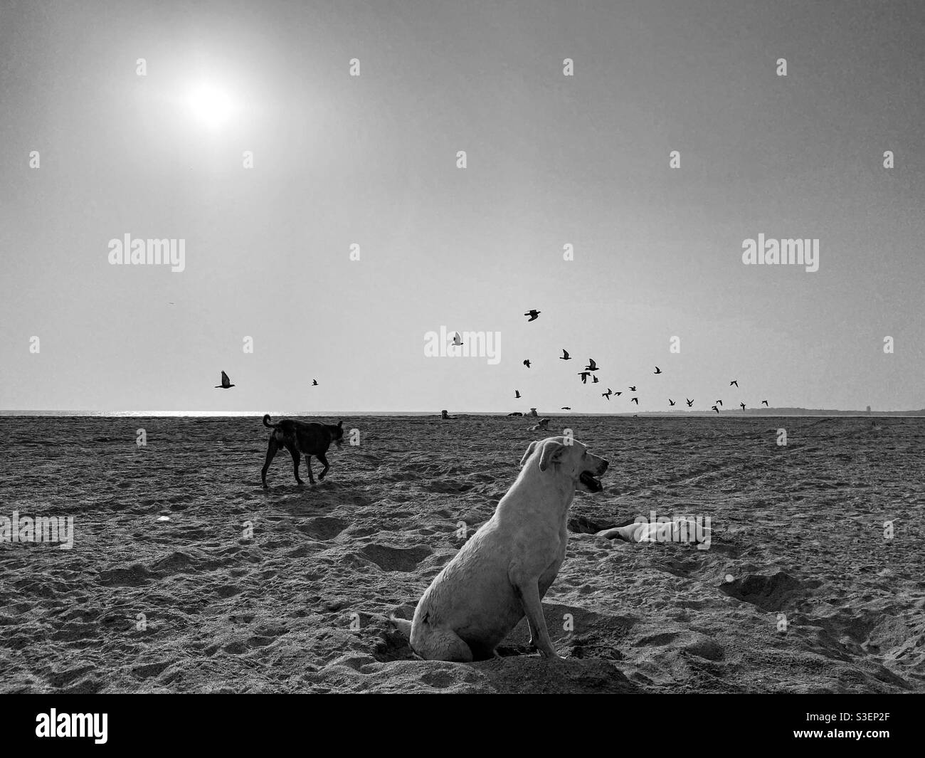 Spiaggia deserta durante il blocco/coprifuoco. - Immagine stock catturata con smartphone
