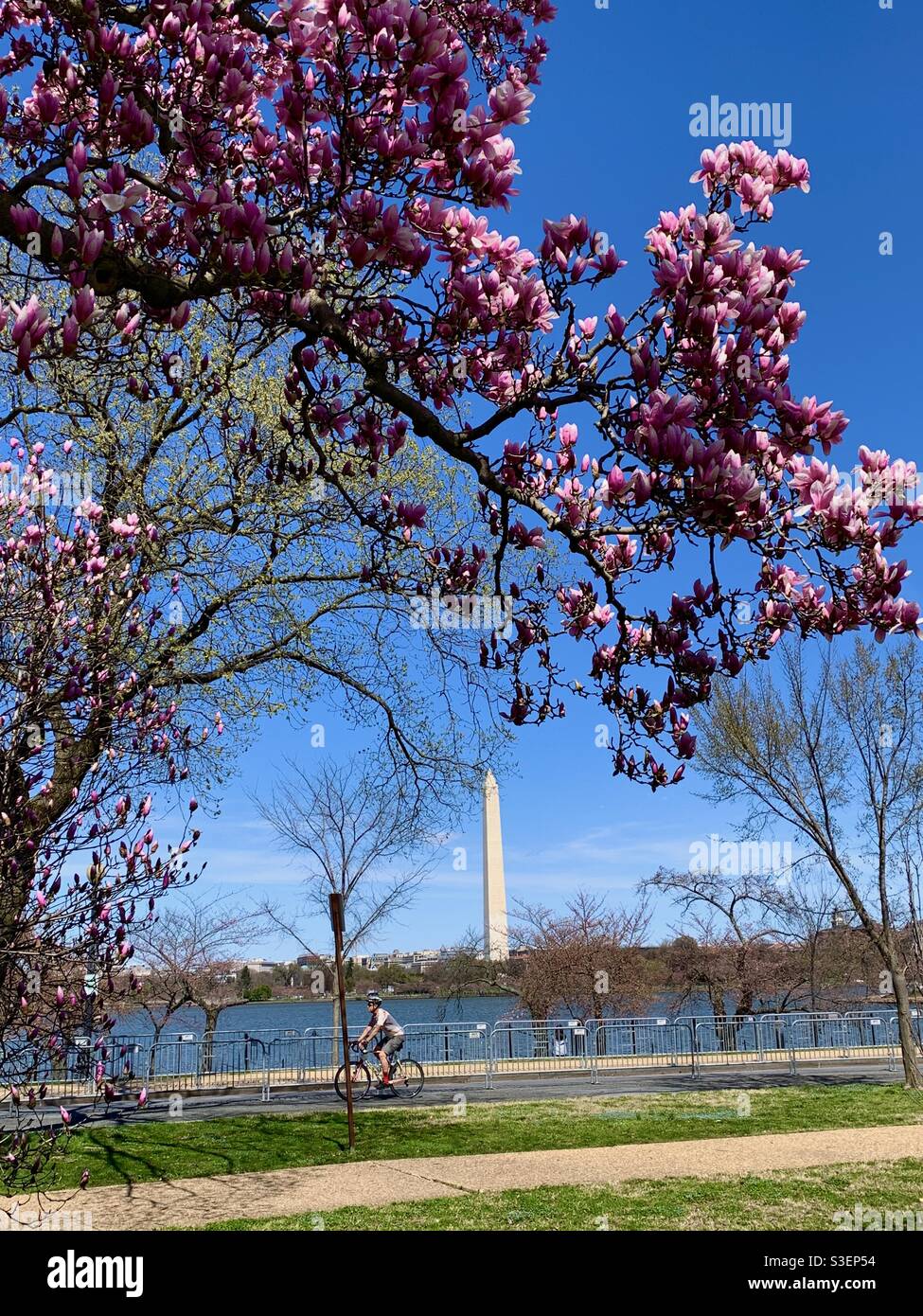 Primavera in DC Foto Stock