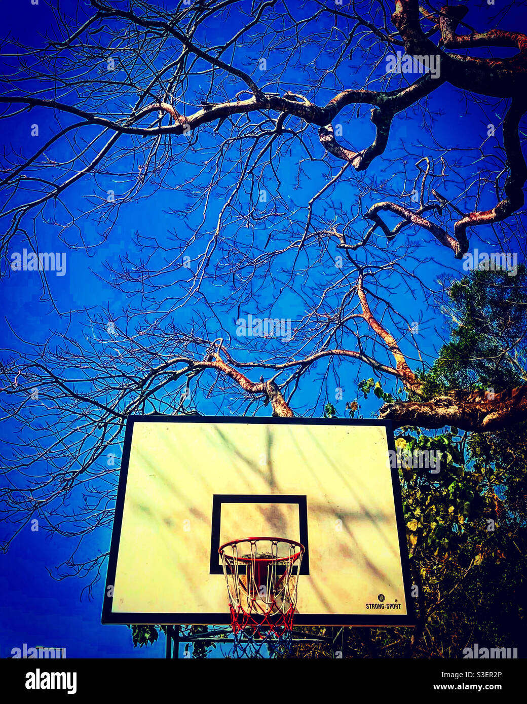 Badketbsll bordo esterno del palo vicino ad un albero su uno sport parco giochi - Immagine stock catturata con smartphone