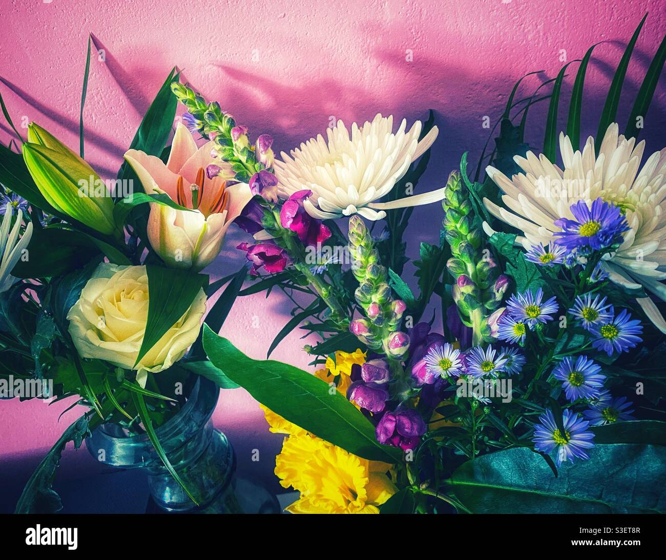 Una fotografia di bellissimi bouquet di fiori in vasi di vetro contro una parete dipinta di rosa Foto Stock