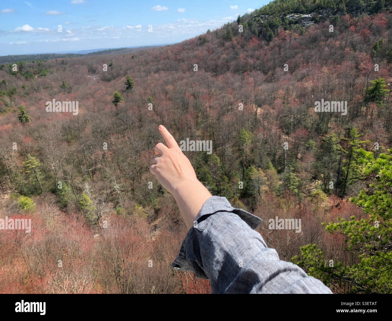 Donna che indica il cielo sopra la foresta Foto Stock