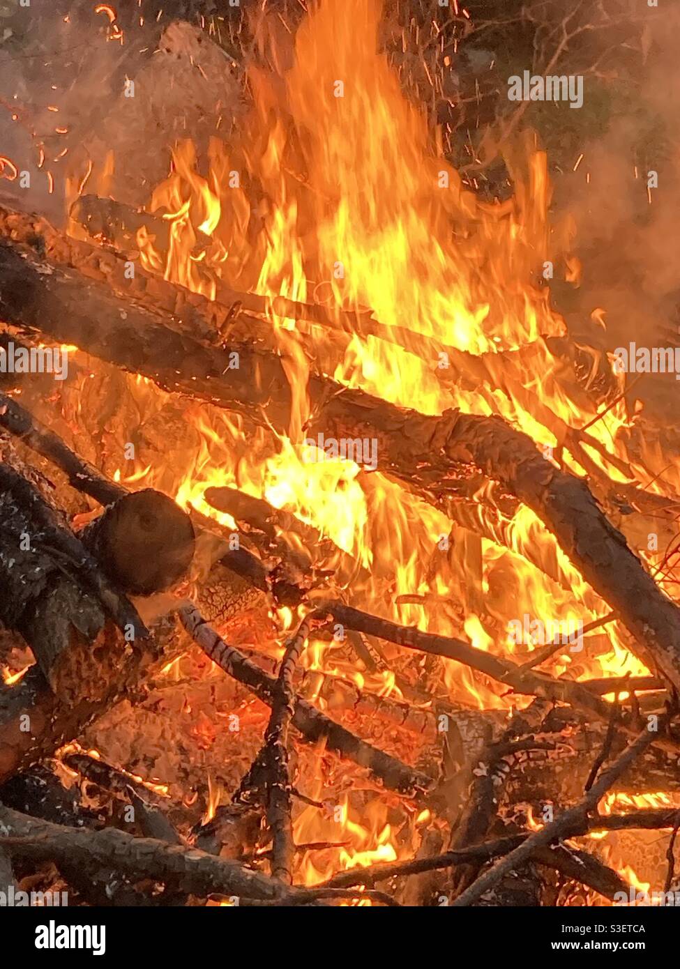 Belle fiamme di un falò. Arpioni di alberi caduti in fiamme dopo una tempesta. Foto Stock