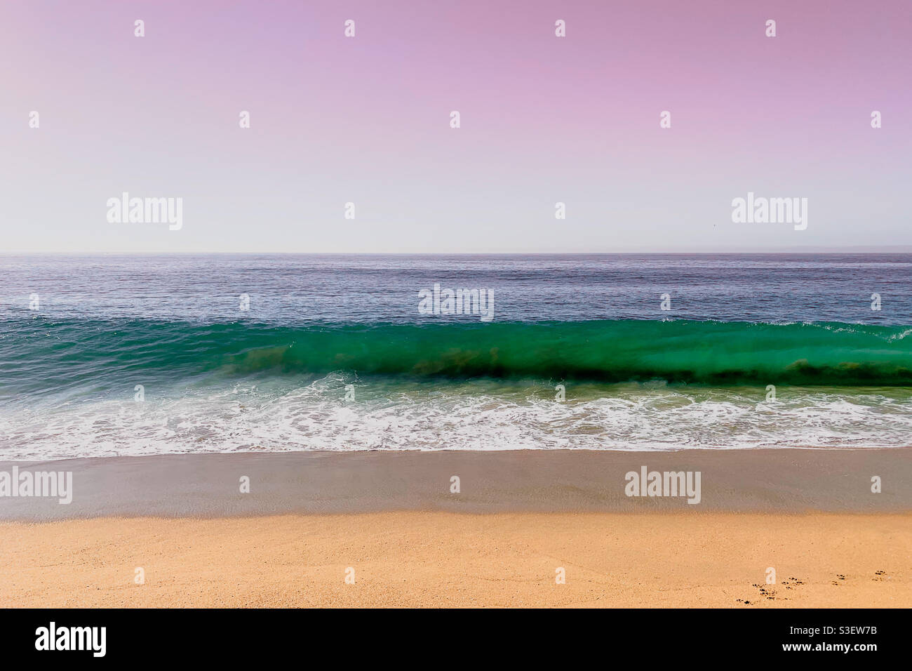 Onda luminosa sull'oceano retroilluminata dal sole. Foto Stock