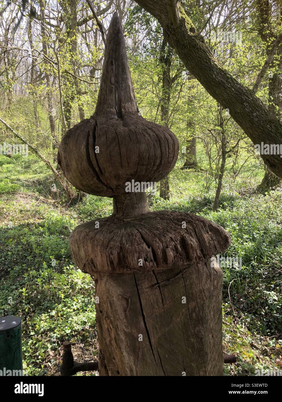Figura misteriosa nei boschi come una strega scolpita di legno nel Cotswolds. - Immagine stock catturata con smartphone