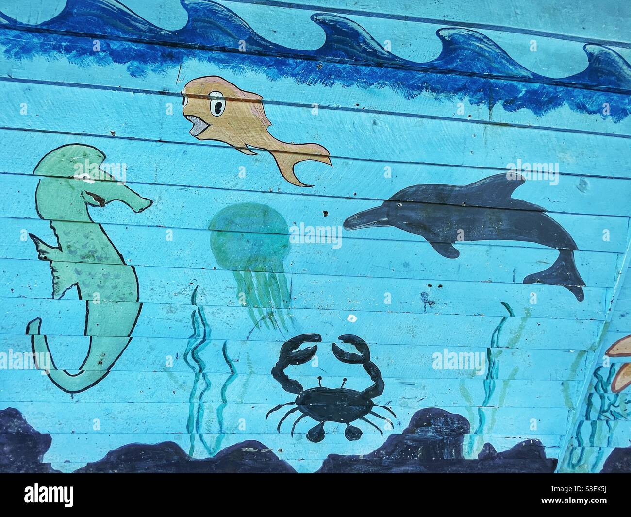 Cartoon Sea creature dipinte su uno sfondo blu su un muro di legno - Immagine stock catturata con smartphone