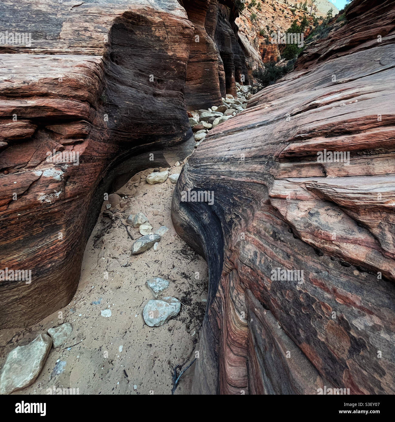 Ingresso al Keyhole Canyon allo Zion National Park, Utah Foto Stock