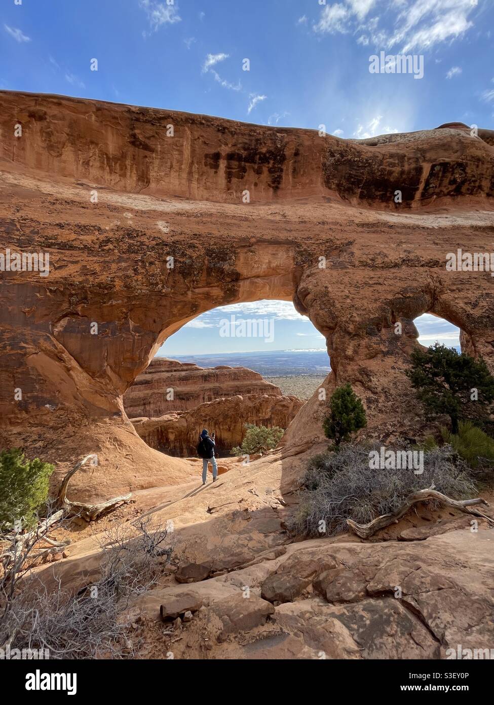 Mattina all'Arches National Park, Utah Foto Stock