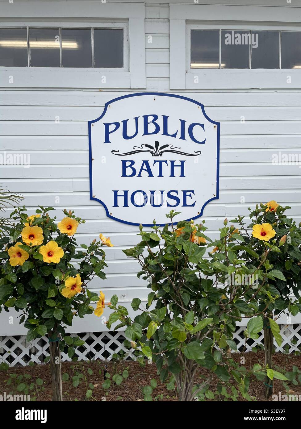 Segno pubblico della casa da bagno con piante di ibisco giallo in pieno fioritura Foto Stock