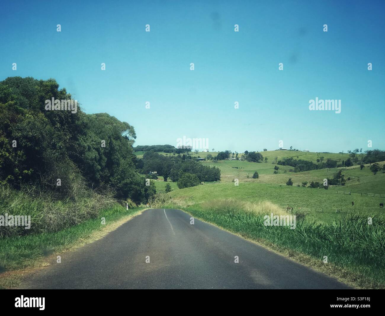 Vista attraverso il parabrezza di una stretta strada di campagna contro il cielo blu chiaro sulla Atherton Tablelands vicino a Cairns in far North Queensland, Australia Foto Stock