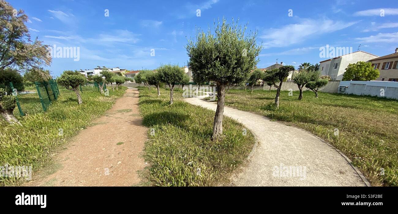 Un sentiero dritto e un sentiero a zigzag attraverso un parco pubblico a Palavas les Flots, Occitanie, a sud della Francia Foto Stock