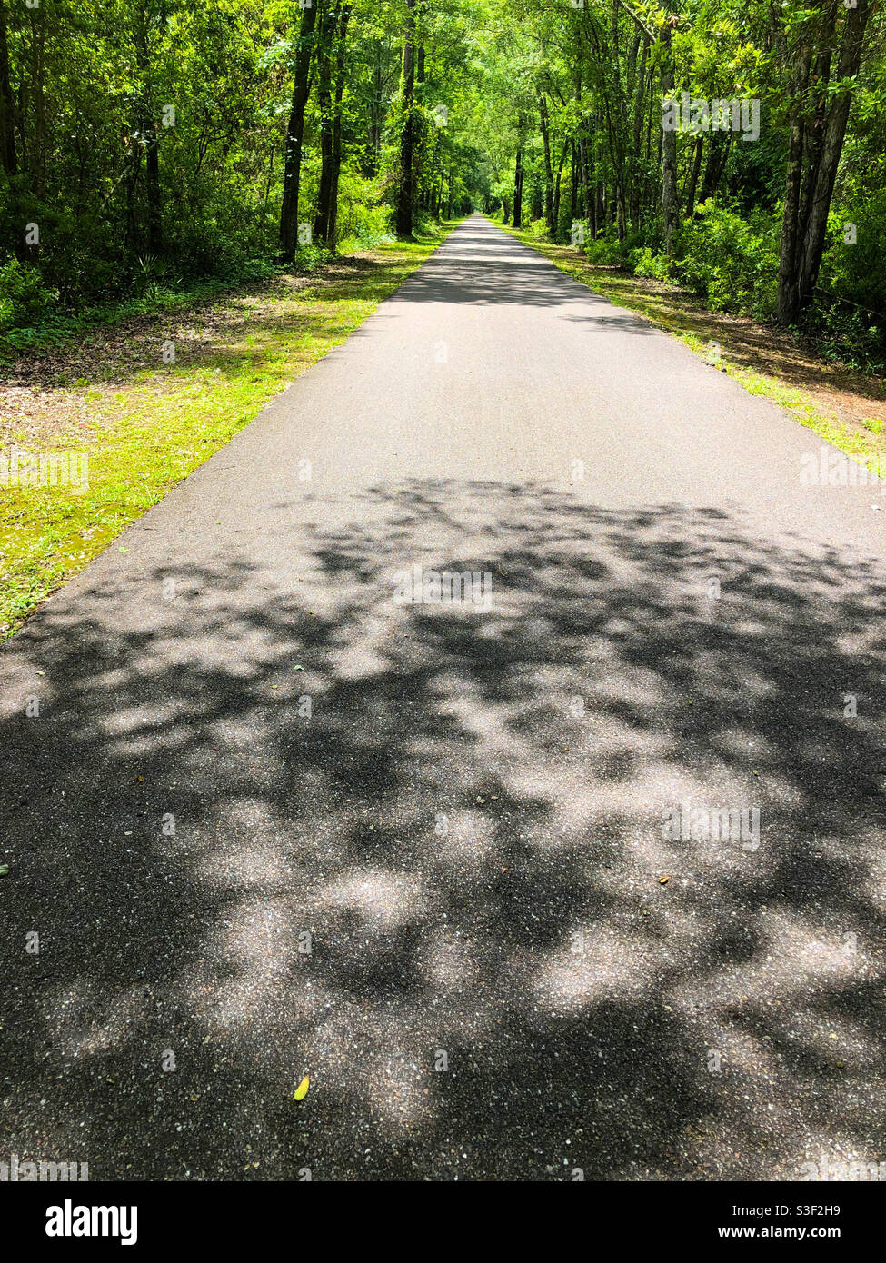 Pista ciclabile a Baldwin, Florida, vicino a Jacksonville. - Immagine stock catturata con smartphone