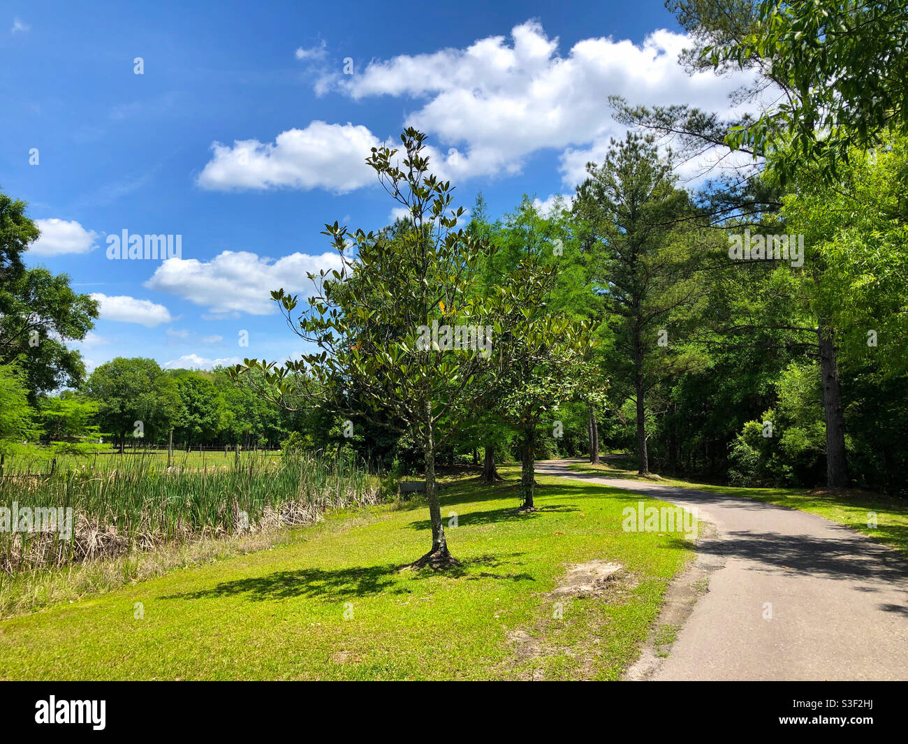Una scena rurale sulla pista ciclabile di Baldwin Florida, vicino a Jacksonville. - Immagine stock catturata con smartphone