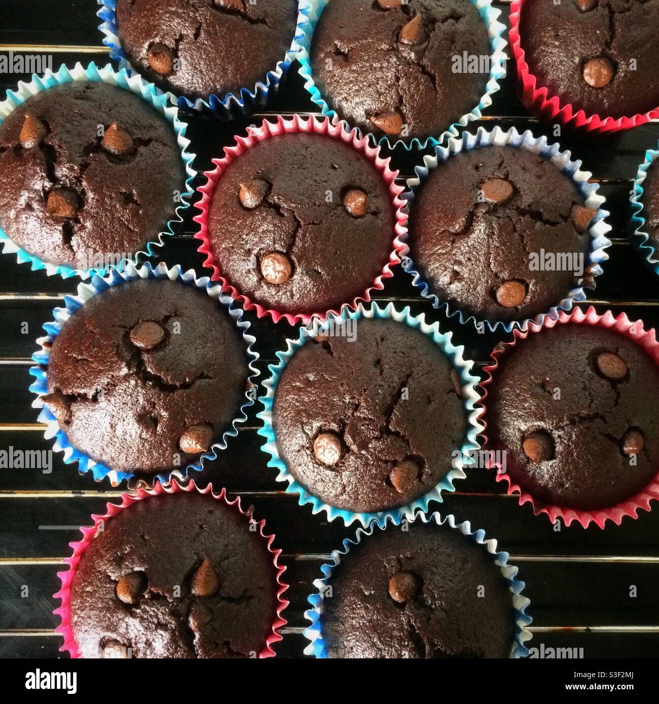 Cupcake di cioccolato vegano freschi fuori dal forno su un cremagliera di raffreddamento vista dall'alto Foto Stock