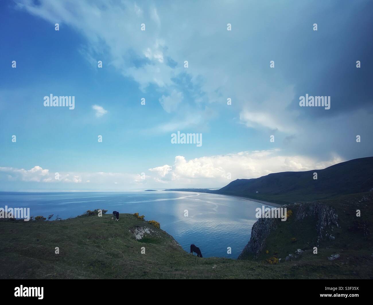 Una fotografia di cavalli selvatici nella baia di Rhossili sulla penisola di Gower in Galles, Regno Unito, durante il fine settimana delle vacanze in riva al mare Foto Stock