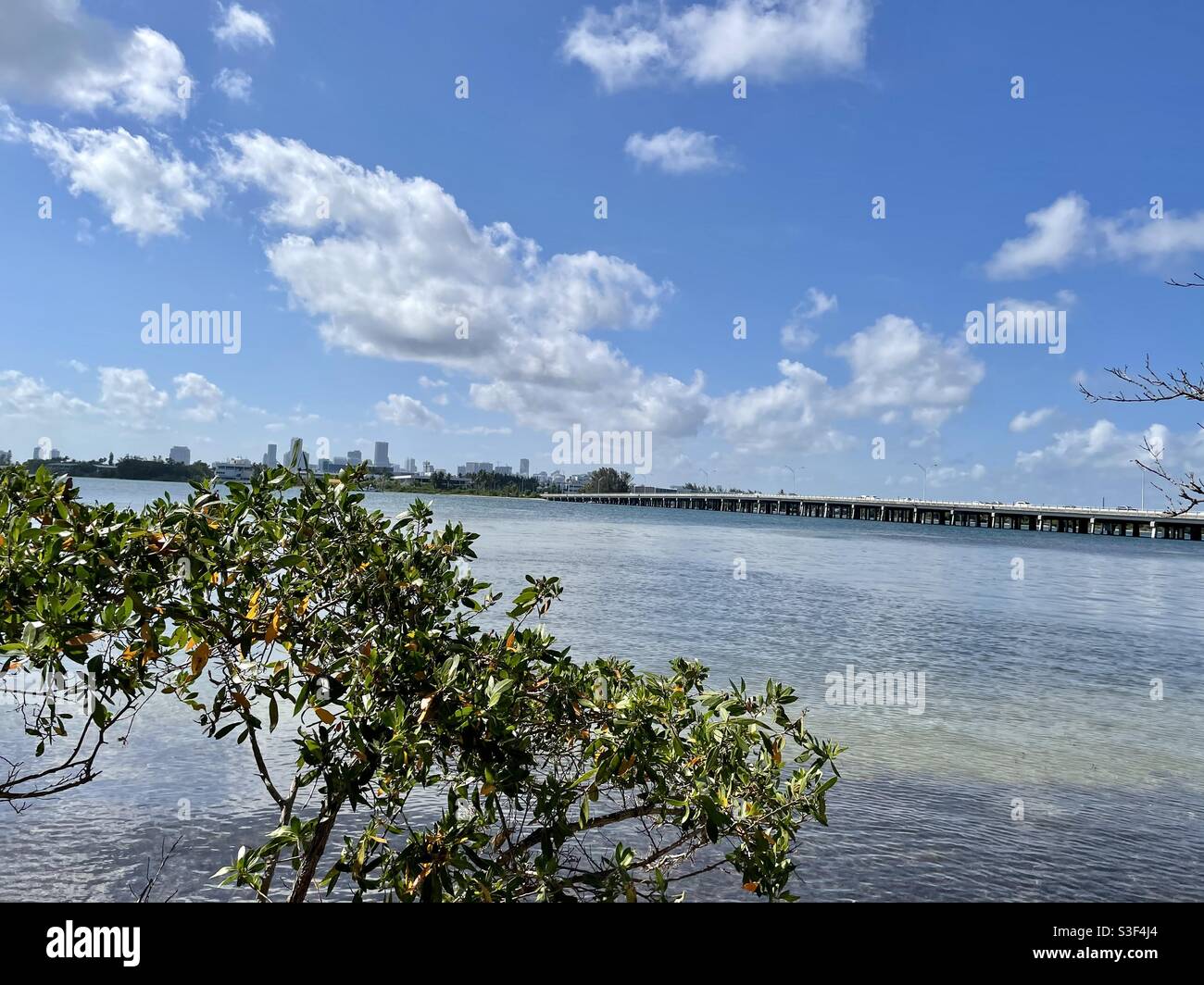 Biscayne Bay e Rickenbacker Causeway, Miami, Florida Foto Stock