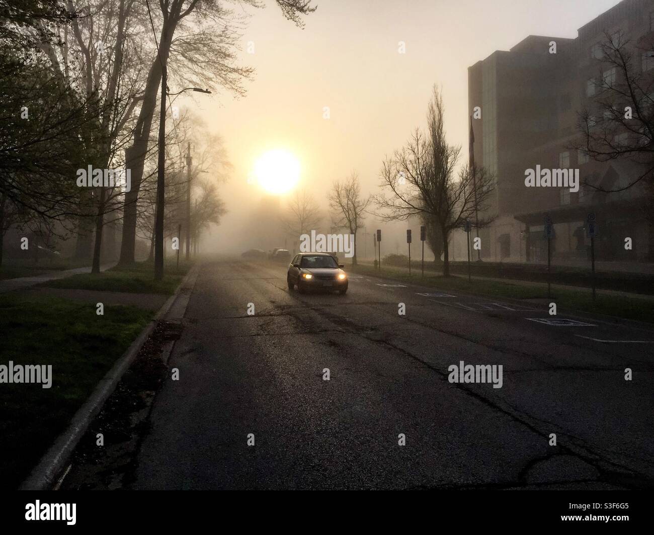 Primo semaforo, strada della città. Un'auto singola su una strada urbana buia, il sole che sorge dietro di essa in un bagliore nebbiosa. Ontario, Canada. Quiete della mattina. Foto Stock