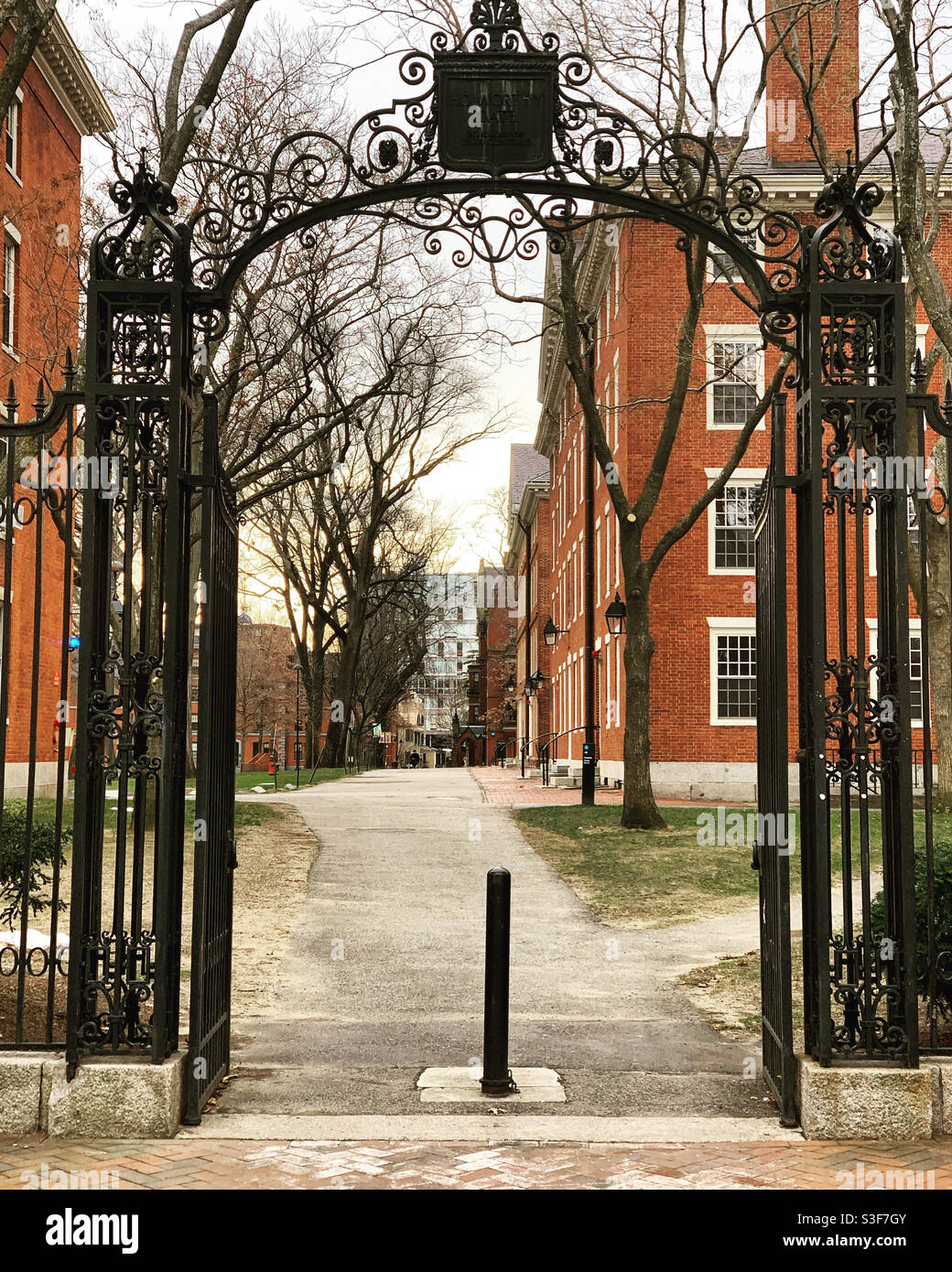 Harvard Yard, Università di Harvard, Cambridge, Massachusetts, Stati Uniti Foto Stock