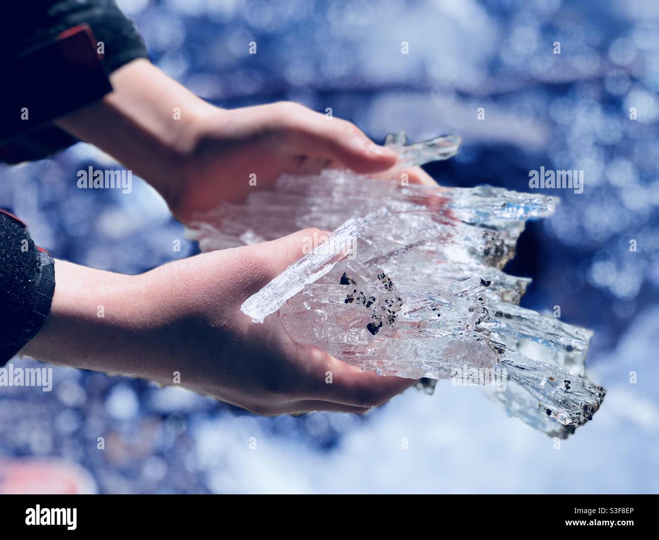 Ragazzo che tiene cristalli di ghiaccio nelle sue mani nel fiume Ottawa, Ottawa, Ontario, Canada Foto Stock
