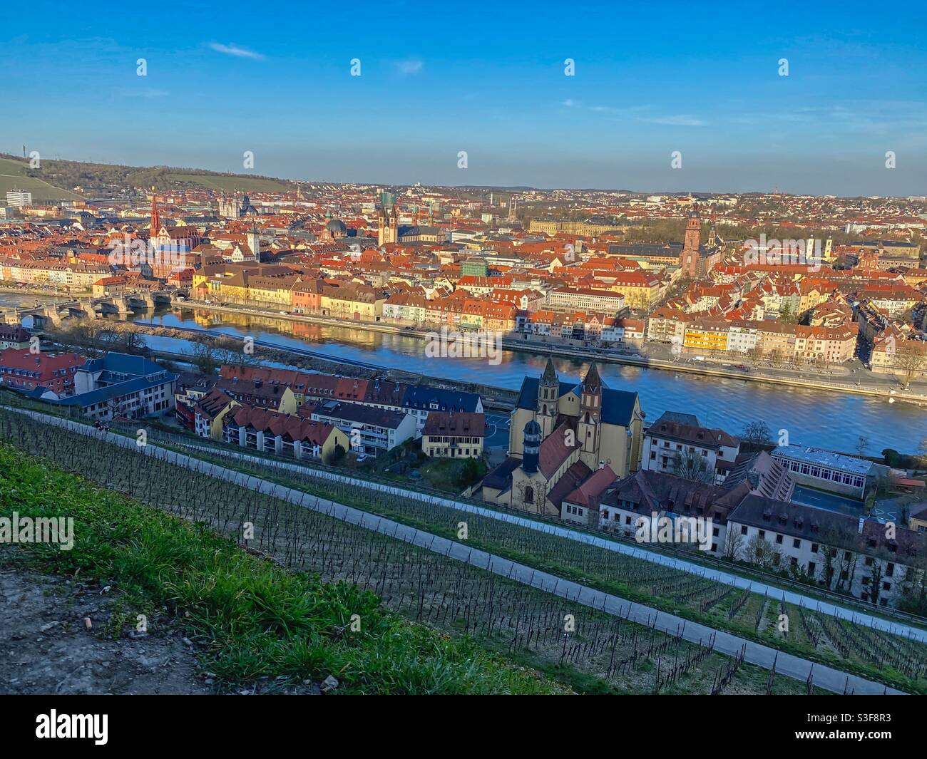 Vista sul centro storico di Würzburg e sulle aziende vinicole dalla collina di Marienberg, Germania. - Immagine stock catturata con smartphone