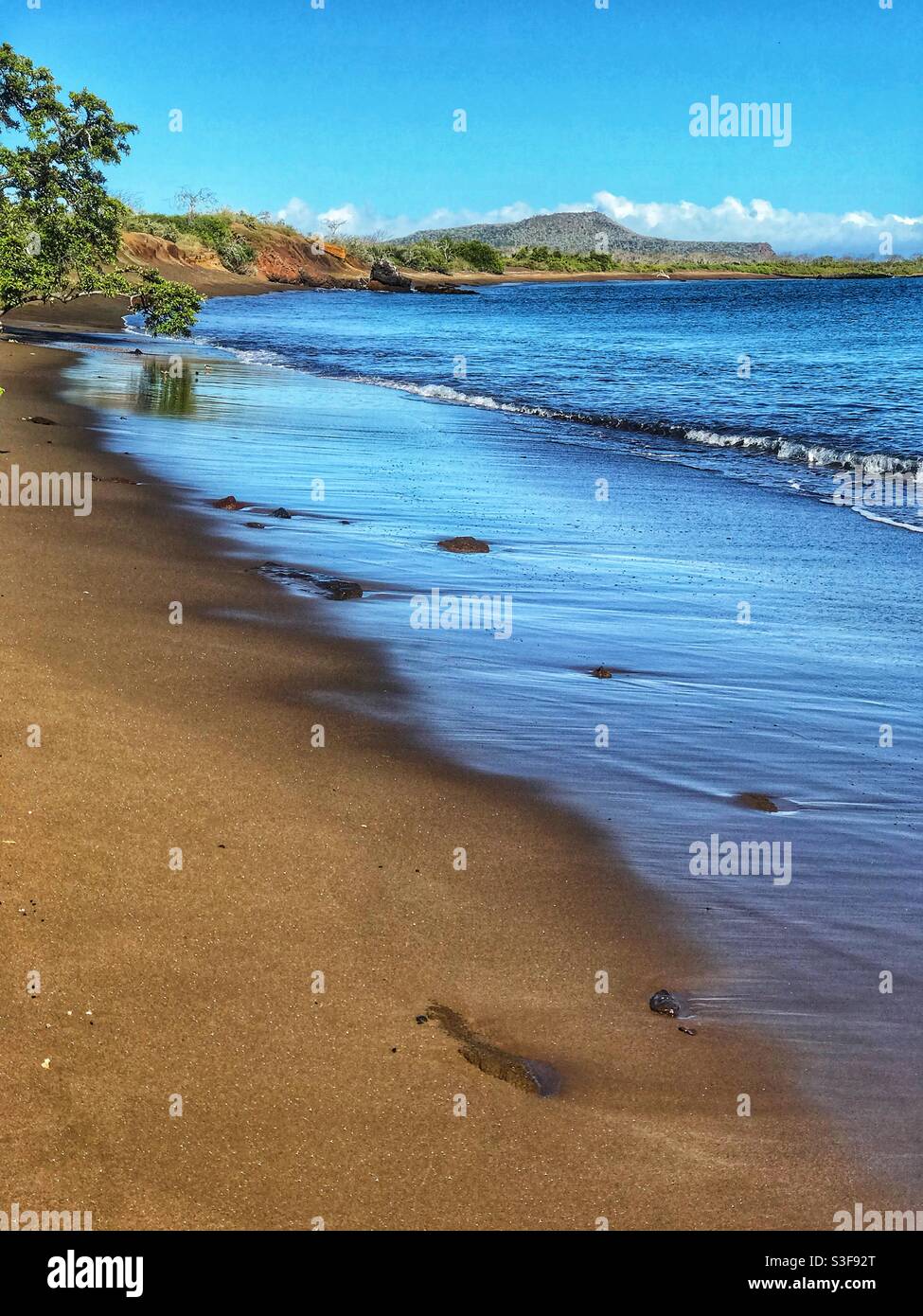 Vista panoramica verticale di una spiaggia sull'isola di Floreana, Isole Galápagos, Ecuador Foto Stock