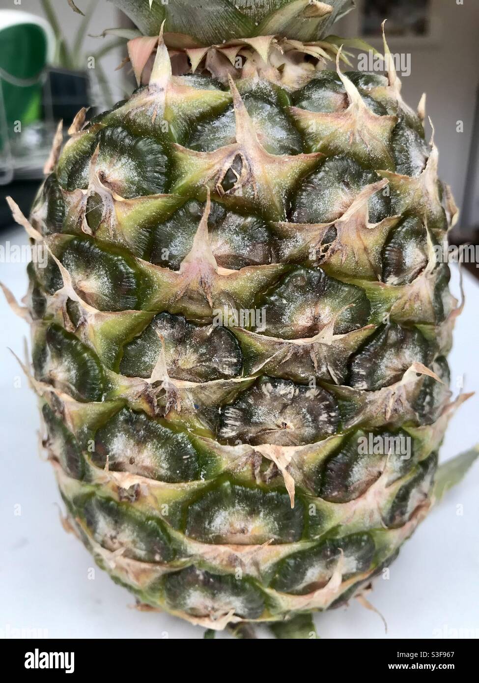 Ananas - Immagine stock catturata con smartphone