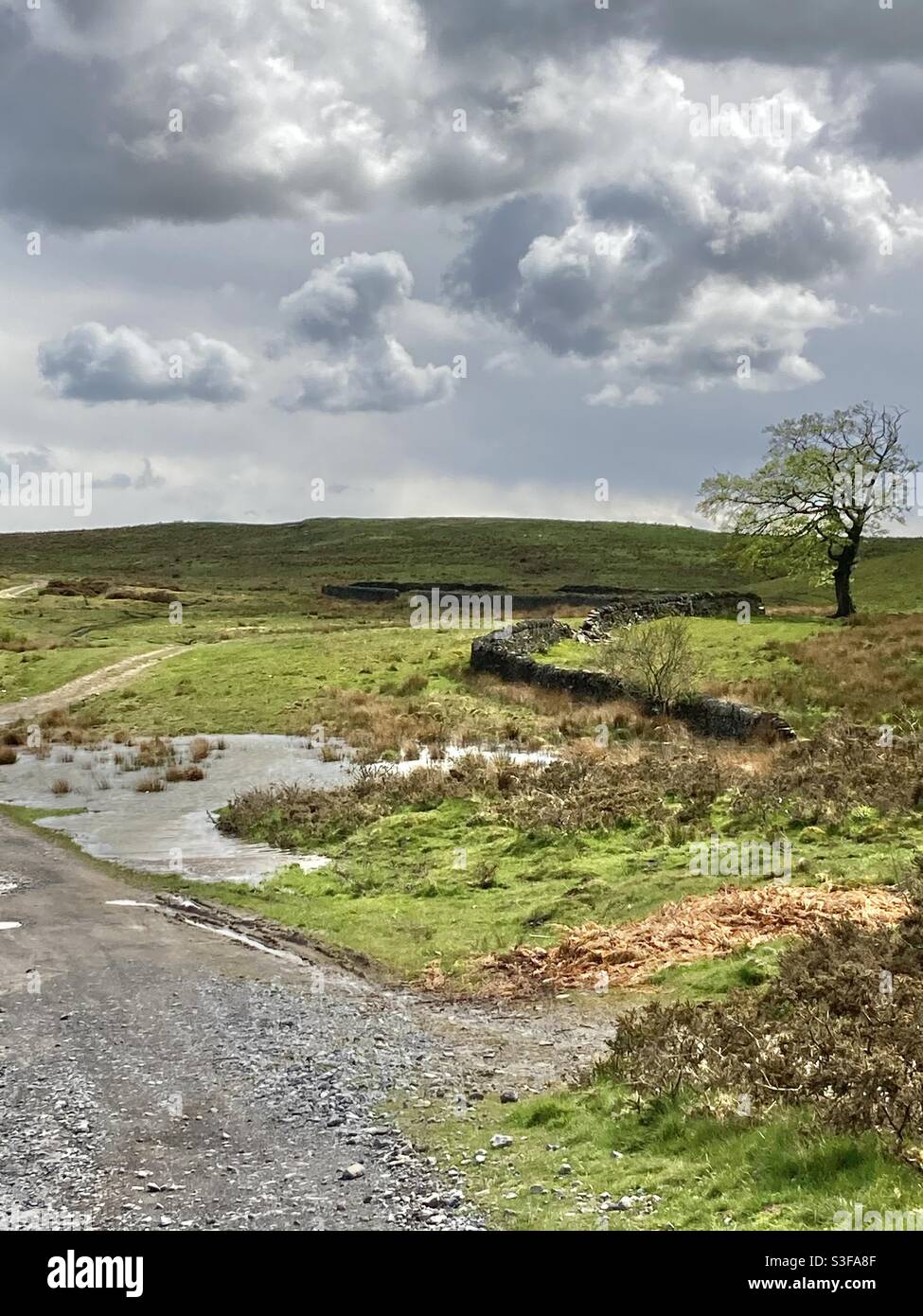 Guardando verso Mynydd y Grug , Caerffili Borough, dalla Rhymney Valley Ridgeway Walk - Immagine stock catturata con smartphone