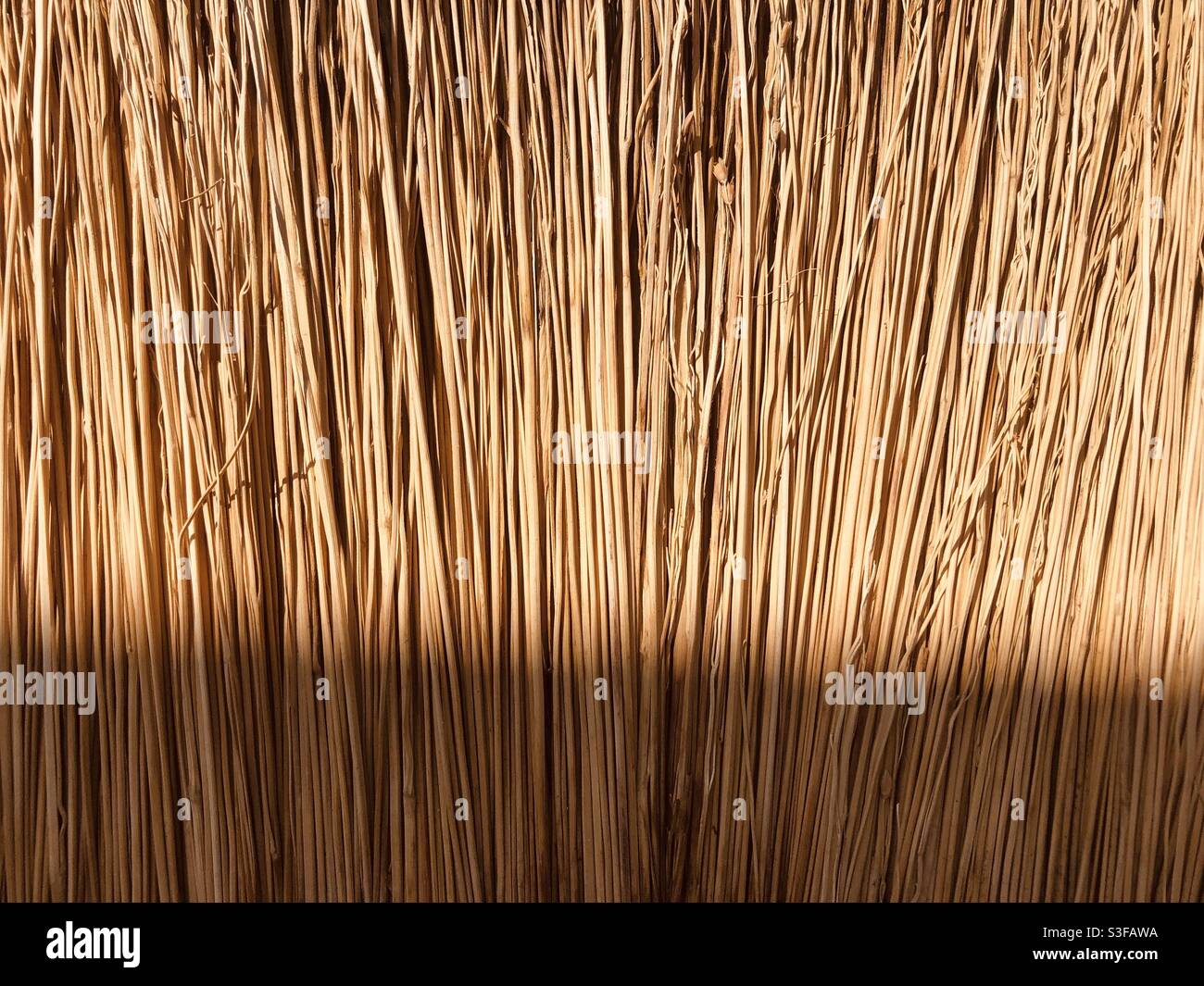 Primo piano di paglia Foto Stock