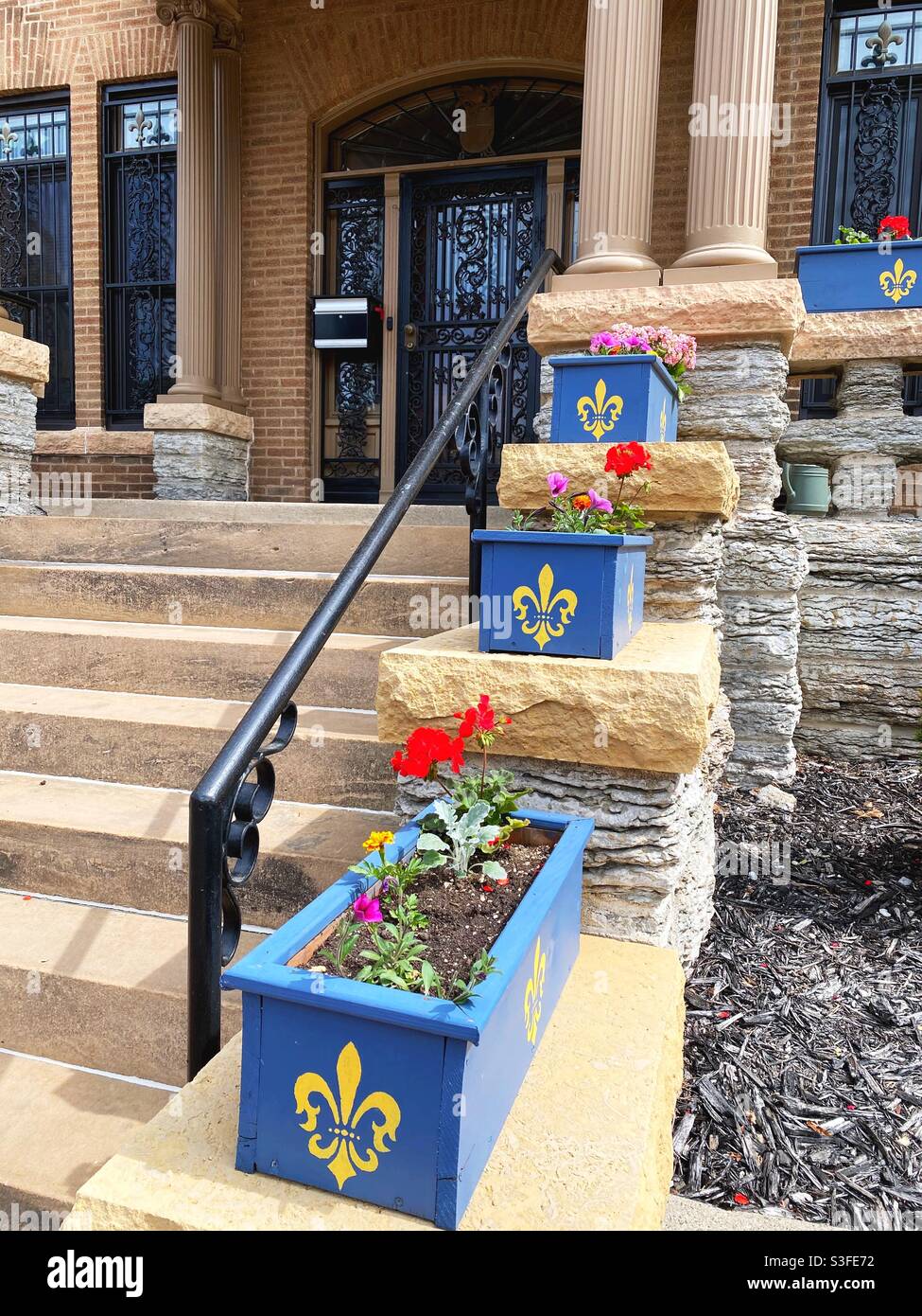 Coloratissime scatole di fiori dipinte di blu con pulci d'oro de lis, sui gradini della canonica della storica chiesa cattolica di nostra Signora di Lourdes a Minneapolis, Minnesota. Foto Stock