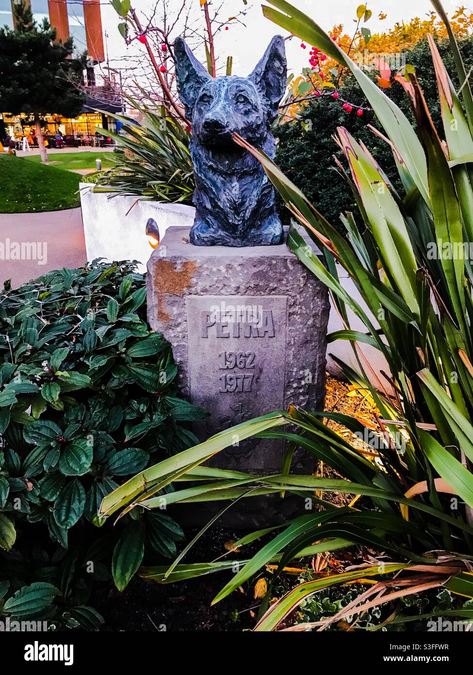 Blue Peter Dog Memorial, media City, Salford Quays - Immagine stock catturata con smartphone