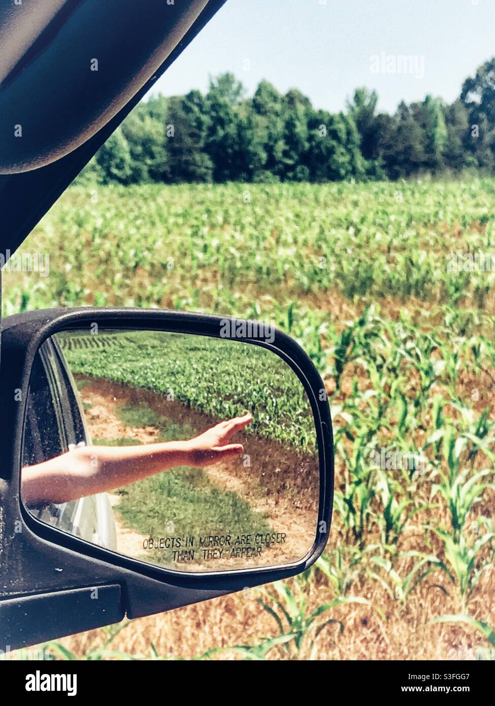 Il braccio del bambino raggiunge, catturando la brezza fuori dal finestrino dell'auto mentre si guida oltre un campo di mais Foto Stock
