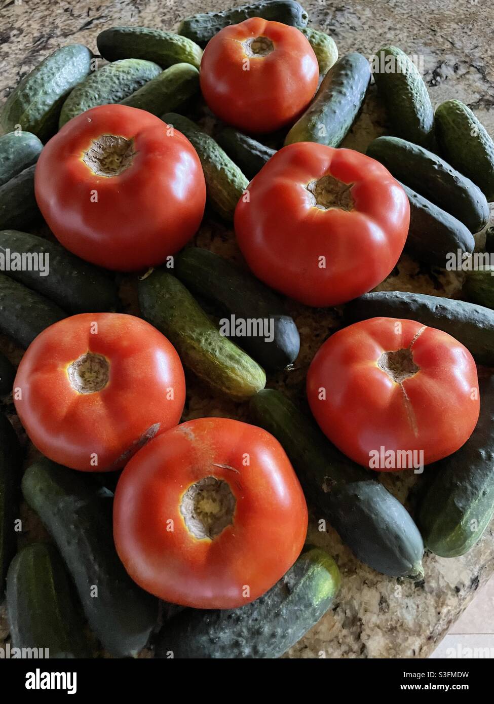 Pomodori rossi e cetrioli appena raccolti - Immagine stock catturata con smartphone