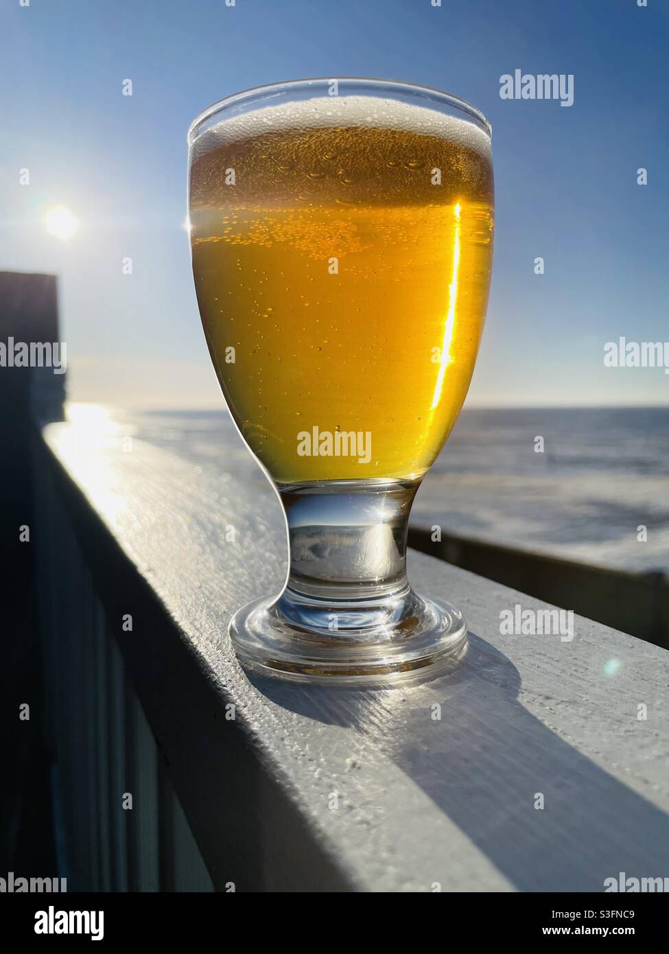 Bicchiere di birra al sole Foto Stock