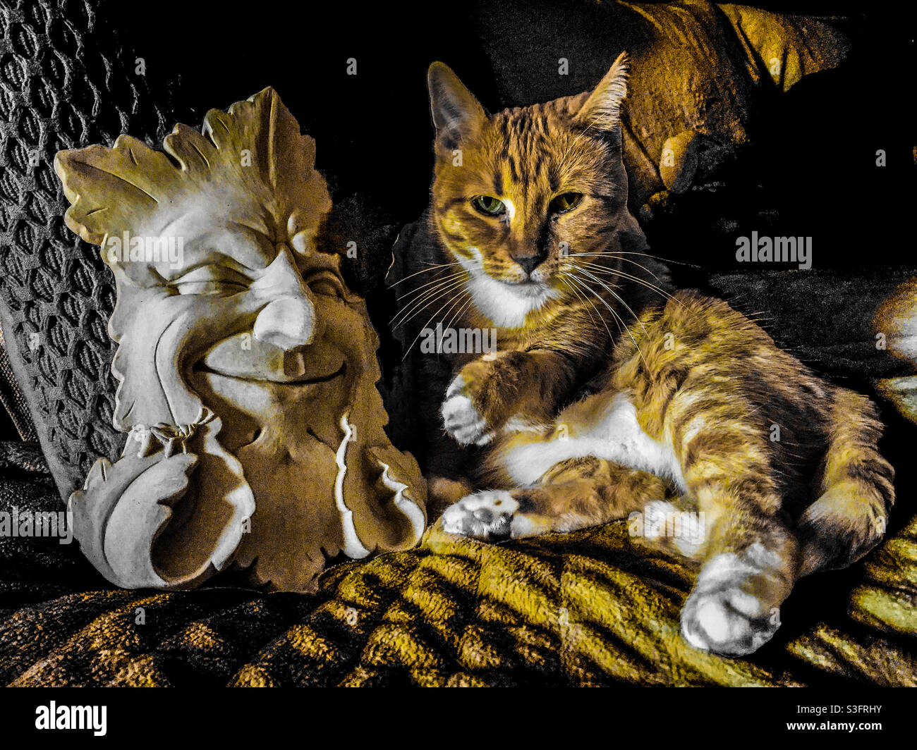 Kitty catturato nell'atto di schiaffo MR.Greenman. Foto Stock